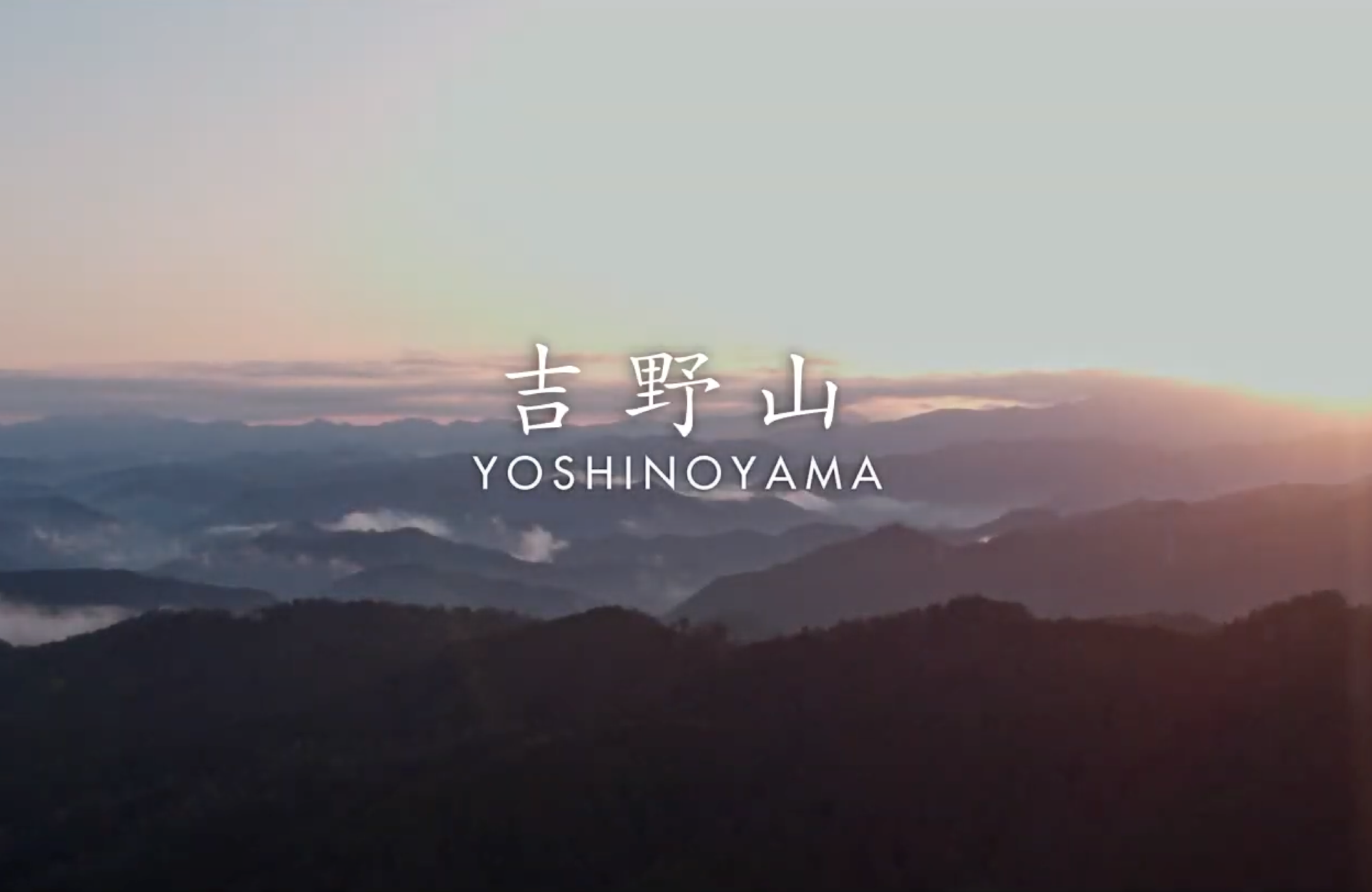 Mount YOSHINO(吉野山)　ドローン映像